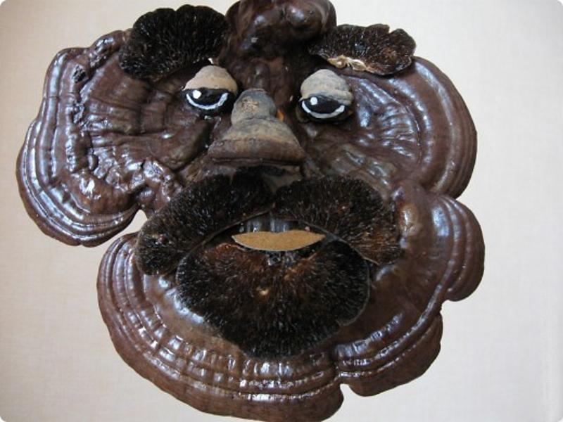 Podelki-iz-griba-chaga-foto.jpg